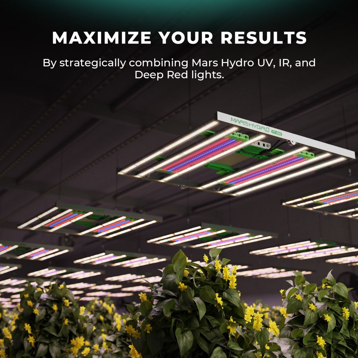 Mars Hydro Adlite UV30+IR15+Deep Red R30 Supplemental LED Grow Light Bars (3 x 2-pack)