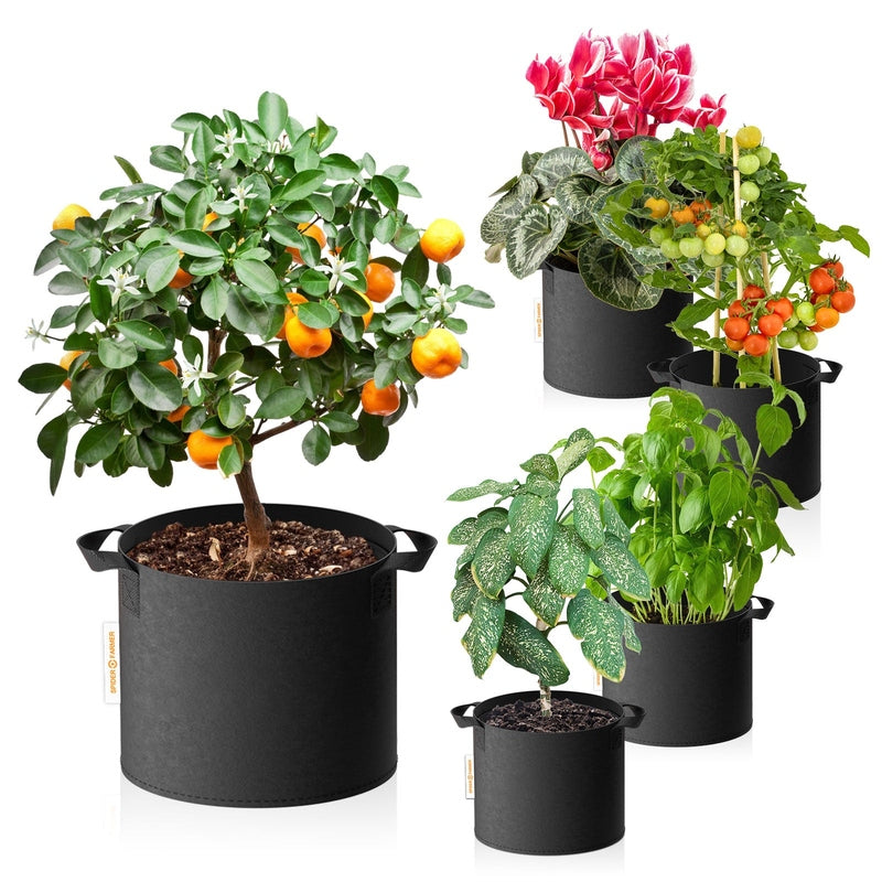 Spider Farmer 5-pack 11 gallon grow bags Heavy Duty 300G Thickened Nonwoven Plant Fabric Pots with Handles