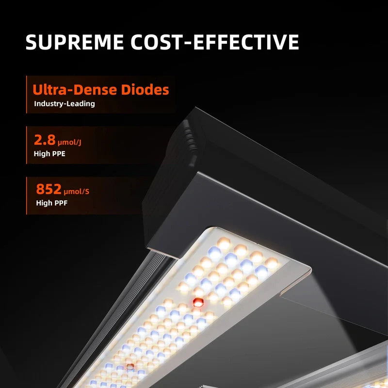 Spider Farmer SF-G3000 LED Grow Light 300W