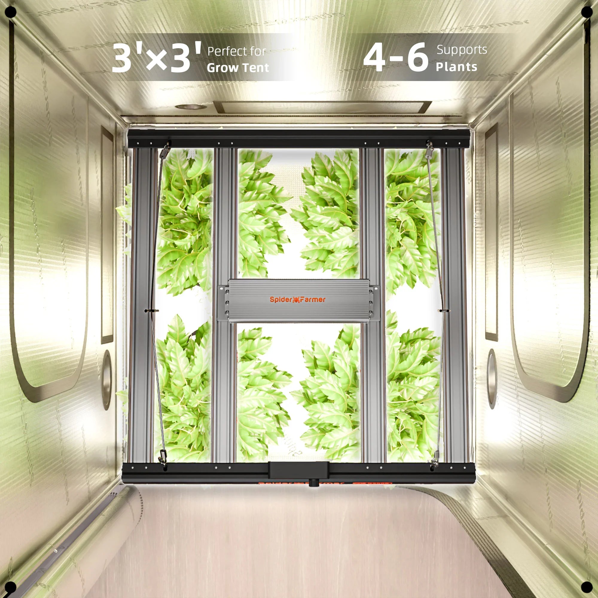 Spider Farmer SF-G3000 LED Grow Light 300W