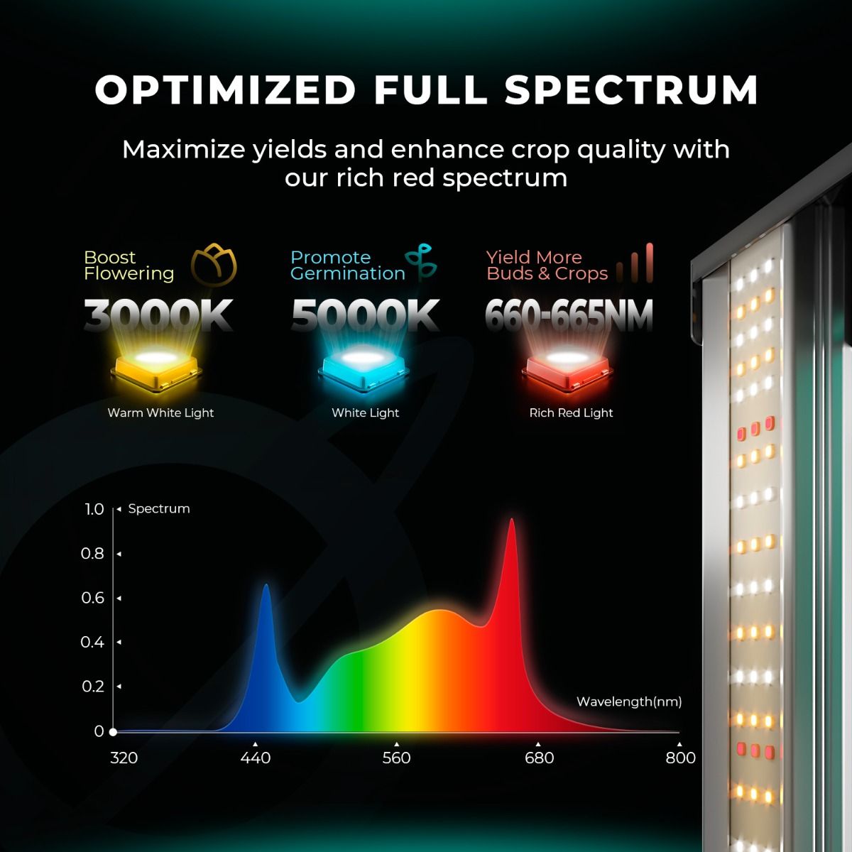 Mars Hydro FC6500 EVO & 5'x5' Grow Tent Kit