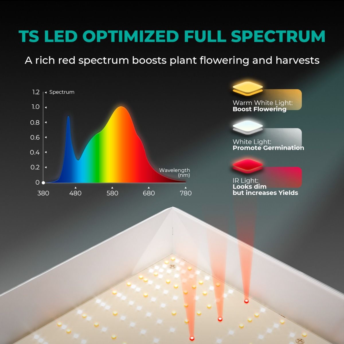 Mars Hydro TS 600 + 2'x2' Complete Indoor Grow Tent Kit